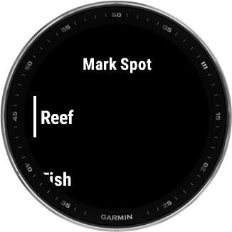 Fish, Reef, Wreck…